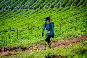 BIB: 
                            <button type="button" onclick="openModal(19162919)" class="btn btn-primary btn-sm float-right btn-popup" data-toggle="modal" data-target=".modal-high-quality">
                        <i class="fas fa-shopping-cart"></i> Add to Cart
                    </button>
                                            <button type="button" onclick="isThisMe(19162919, true)" class="btn btn-success btn-sm float-right btn-popup btn-isme hidden" data-toggle="tooltip" data-placement="bottom" title="นี่คือรูปของคุณใช่ไหม คลิกที่นี่เพื่อเอาเข้าอัลบั้ม">
                        <i class="fas fa-plus"></i> Add to album
                    </button>
                    <button type="button" onclick="isThisMe(19162919, false)" class="btn btn-warning btn-sm float-right btn-popup btn-isnotme hidden">
                        <i class="fas fa-ban"></i> Remove from album
                    </button>